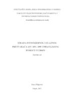 prikaz prve stranice dokumenta Izrada istosmjernog uzlaznog pretvarača 12V/ 18V; 20W upravljanog s pomoću UC3843