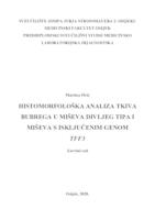 Histomorfološka analiza tkiva bubrega u miševa divljeg tipa i miševa s isključenim genom Tff3