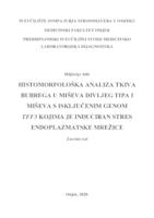 Histomorfološka analiza tkiva bubrega u miševa divljeg tipa i miševa s isključenim genom Tff3 kojima je induciran stres endoplazmatske mrežice