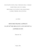 Histokemijski aspekti gljivičnih bolesti s osvrtom na aspergilozu