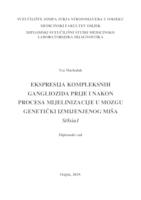 Ekspresija kompleksnih gangliozida prije i nakon procesa mijelinizacije u mozgu genetički izmijenjenog miša St8sia1