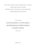 Zastupljenost autofagije u neurosferama dobivenih iz stanica glioblastoma