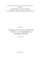 Zadržavanje magnetskih čestica u sferoidima glioblastoma