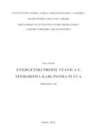 Energetski profil stanica u sferoidima karcinoma pluća