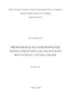 Profesionalno samopoimanje medicinskih sestara Kliničkog bolničkog centra Osijek