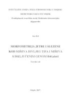 Morfometrija slezene kod miševa divljeg tipa i miševa sa isključenim genom B4Galnt1