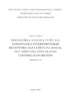 Histološka analiza utjecaja nedostatka interferonskih receptora alfa i beta na knock-out miševima inficiranim citomegalovirusom