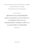 prikaz prve stranice dokumenta Rezistencija bakterijskih sojeva Klebsiella pneumoniae i Enterobacter cloacae izoliranih iz uzoraka urina na beta-laktamske antibiotike
