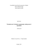 prikaz prve stranice dokumenta Virtualni ured: virtualna organizacija, radni prostor i zaposlenik