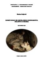 prikaz prve stranice dokumenta Domaći kozji sir obiteljskog gospodarstva Buljević iz Osijeka